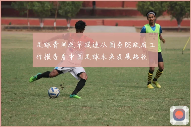 足球青训改革提速从国务院政府工作报告看中国足球未来发展路径