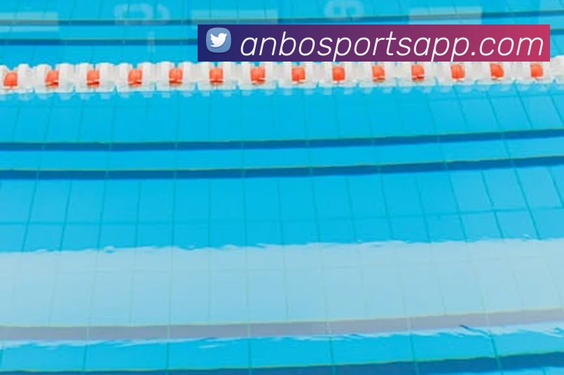 安博体育APP 封面图