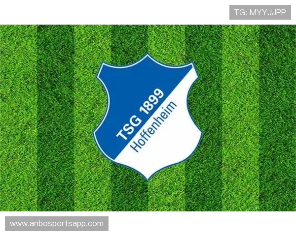 德甲绿色菱形队徽是哪支球队？队标识别指南